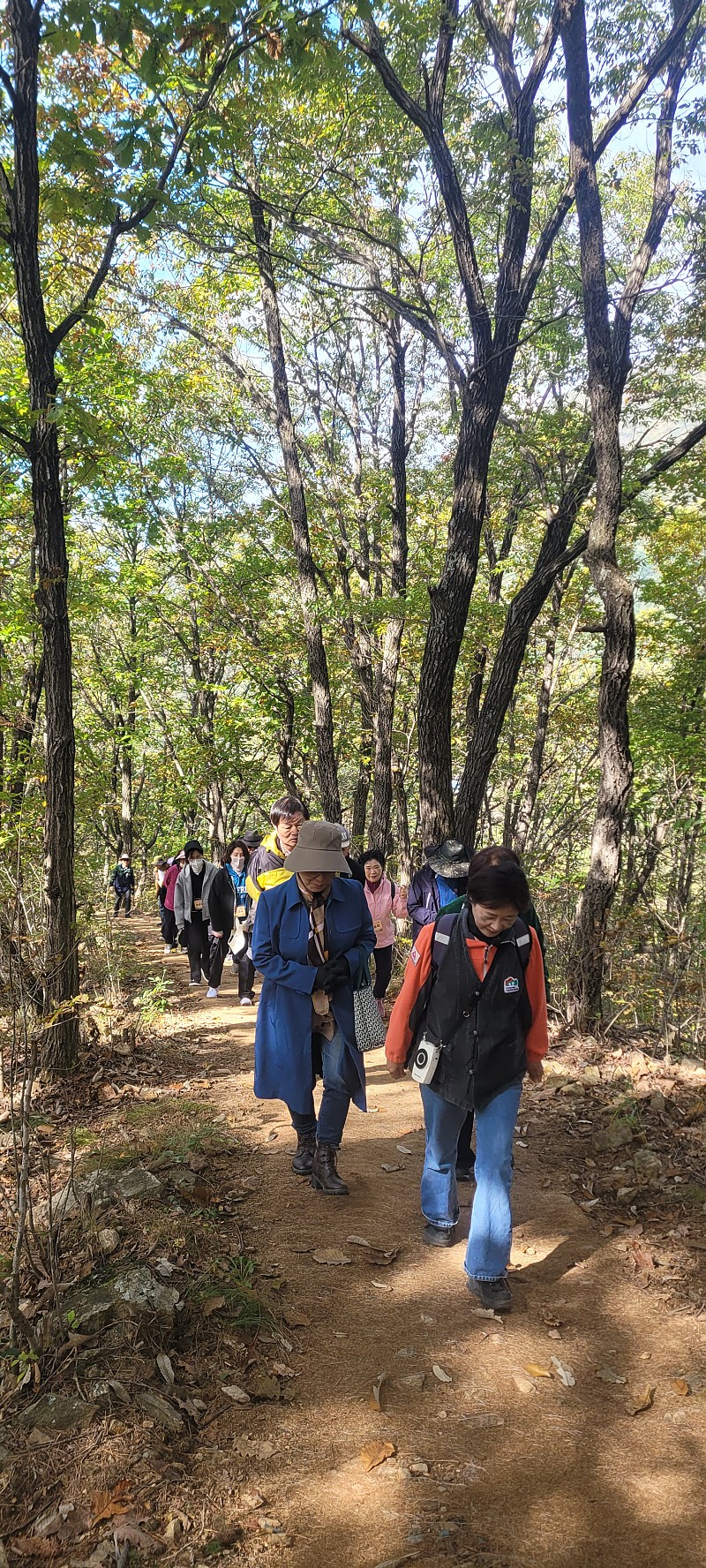 af372287c4e336ed51e1b77d35f0b433_1761711